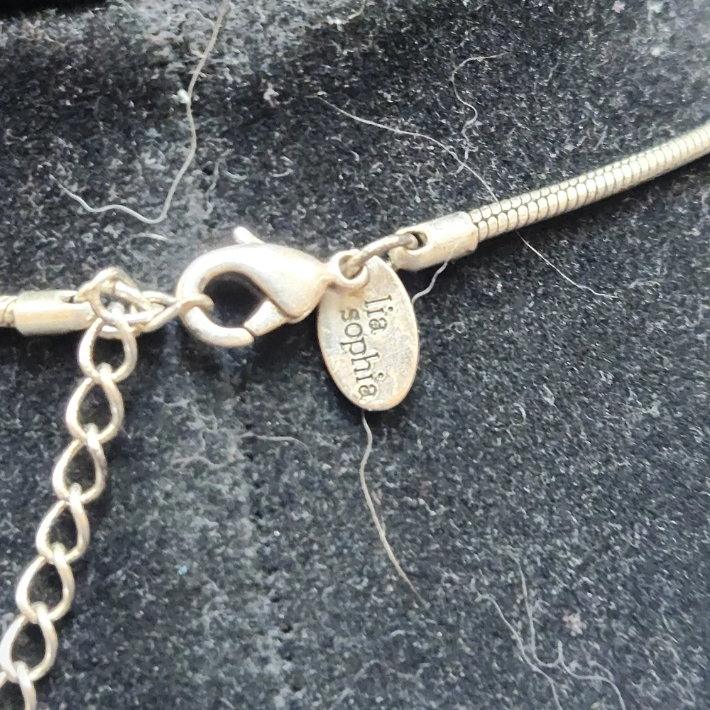 Lia Sophia Necklace - Picture 3 of 3